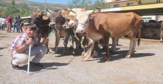Bayburtta Hayvan Pazarında Kurban Hareketliliği