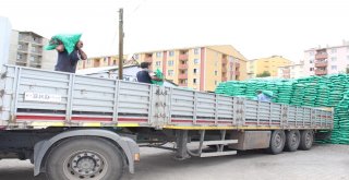 Ekmeklerini Kömürden Çıkarıyorlar