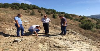 Demirköyde Islah Çalışmaları Başladı