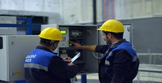 Adasu Heste Bakım Çalışmaları Başladı