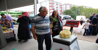 Sungurlu Belediyesinden Hassas Terazi Uygulaması