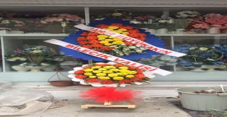 Düğünlerde Çelenk Yerine Saksı Çiçeği Tercih Edin