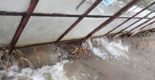 Antalyada Yaz Ayında Seraları Su Bastı