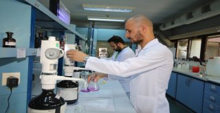 Gübretaş, Ar-Ge Çalışmalarıyla Sektörde Dikkat Çekiyor