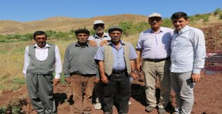 Eşek Sırtındaki Diyaliz  Yolculuğu Sona Erdi