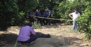 Öldürüldükten Sonra Gömülen Şahsın Kimliği Belli Oldu