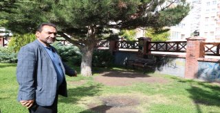 Mahalle Muhtarını Çıldırttılar