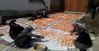 Dağ İlçelerinde Tarhana Hazırlıkları Başladı