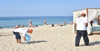 Alanya Belediyesi Ve Gönüllüler Damlataş Plajını Temizledi