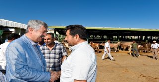 Büyükşehir, Hayvan Pazarında Önlemler Aldı