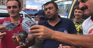 Dolmuşçular Dolar Bozduran Vatandaşlardan Bayrama Kadar Ücret Almayacak