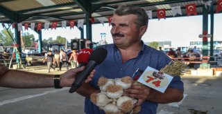 Taşköprüde En İyi Sarımsak Üreticisi Ve En İyi Buzağı Yetiştiricisi Yarışması Düzenlendi