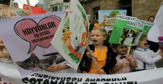 Hayvanları Koruma Gününde, Anaokulu Öğrencilerinden Dikkat Çeken  Etkinlik