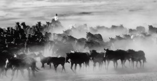 Fotoğraf Yarışmasının Ödülünü Çoşkun Aralla Kapadokyada Çıkarttılar
