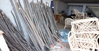 Kestane Ağaçları Bambu Mobilyalara Dönüşüyor