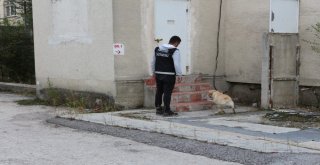 Polis Ekiplerinden Narkotik Uygulaması