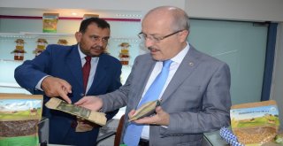 (Özel) Büyükşehirden Organik Hizmet