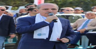 Ulusal Yağlı Güreş Festivali Başladı