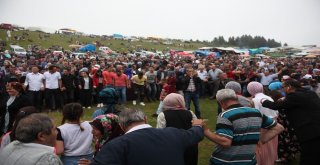 Stres Atmak İçin Giresun Yaylalarını Seçenler Şenliklerle Coşuyor