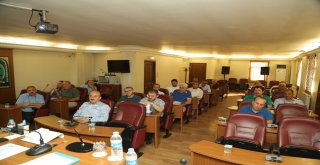 Tok: “Gönül Belediyeciliği Birleştirici Gücümüz”