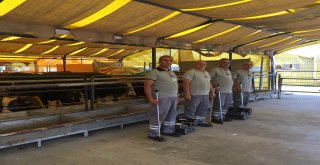 (Özel) İbb Kurban Timi Görevde