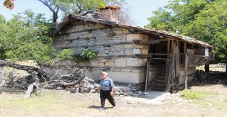 Ağaçtan Zerk Kilidi Zamana Meydan Okuyor