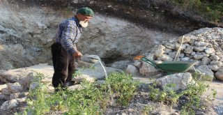 Hiç Evlenmedi, 30 Yıldır Dağda Tek Başına Yaşıyor