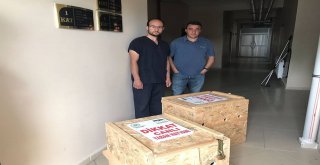 Tedavileri Tamamlanan Yavru Ayılar Uçakla Bursaya Gönderildi