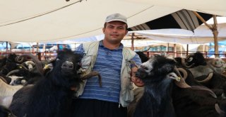 Adanada Kurbanlıklar Pazardaki Yerlerini Aldı