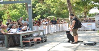 Marmariste Köpek Güzellik Yarışması Yapıldı