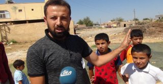 Yazın Ortasında Kışı Yaşıyorlar