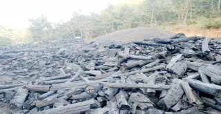 Yaylalarda Mangal Kömürü Üretimi