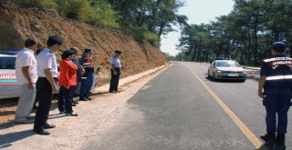 Sürücüye Kırmızı Karanfil, Çocuklara Kırmızı Düdük