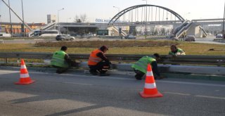 Şener Şenli Zengin Mutfağı Bursaya Geldi