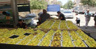 Yerel Geçelim Birecik İnciri Tezgahlardaki Yerini Aldı
