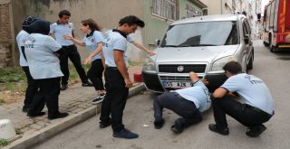 Aracın Motor Kısmına Sıkışan Kedi İçin Polis Ve İtfaiye Seferber Oldu