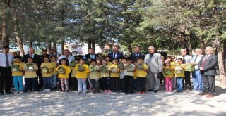 Bucakta Okul Bahçelerine Kuş Yuvası