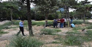 Eski Devlet Hastanesi Bahçesinde Erkek Cesedi Bulundu