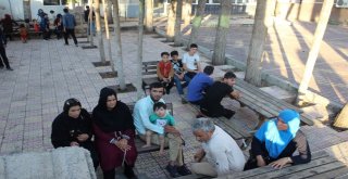 Adıyamanda Afgan Göçmenler Yakalandı
