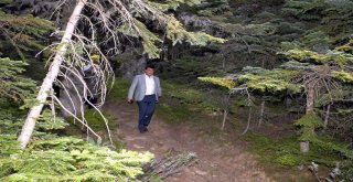 Uludağa “Endemik Park”