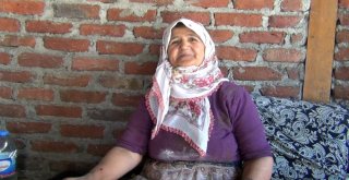 Oğuzlarda Kadınlar İmece Usulü Kışa Hazırlanıyor