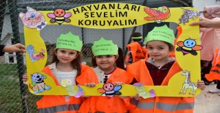 200 Anaokulu Öğrencisi Can Dostları İle Buluştu