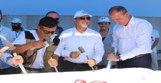 Bigada Uluslararası Taş Heykel Sempozyumu Açıldı