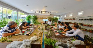 Ankarada Bahçe Hobi Eğitimine Yoğun İlgi