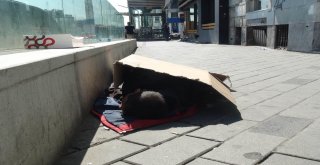 İstanbul Sıcaktan Kavruldu