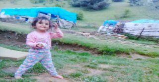 Evrimi Arama Çalışmaları Bayramda Da Devam Etti