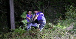 Zonguldakta Trafik Kazası; 1 Ölü 2 Yaralı