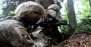 Jöperler İlk Defa Bu Kadar Yakından Görüntülendi