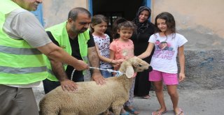 Sürpriz Kurbanlık Gözyaşlarına Boğdu