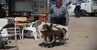 Kurban Pazarında Hareketlilik Devam Ediyor